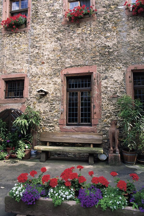 Wein Hotel Koegler Eltville am Rhein Exterior foto